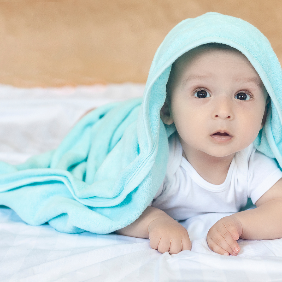 Stage 2 (6-10 months)