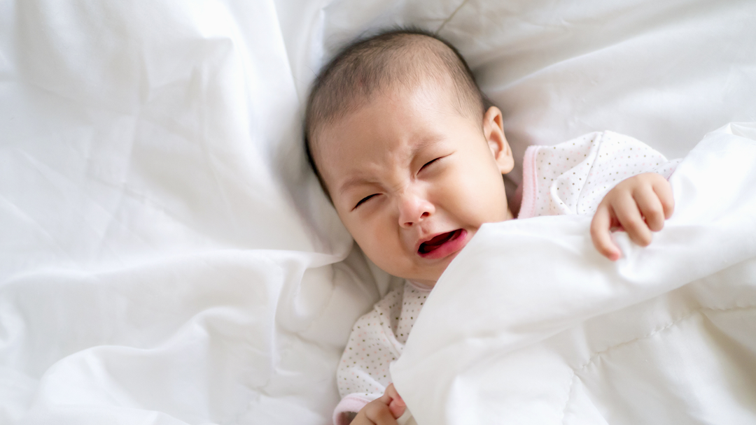 Best Formula for Gas & Colic Relief: HolleHiPPos’ Top Picks for Sensitive Tummies